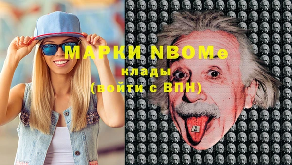винт Алзамай