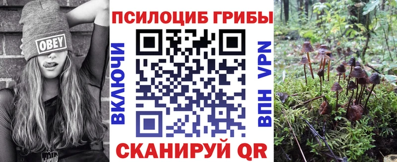 Галлюциногенные грибы прущие грибы  Приморск 
